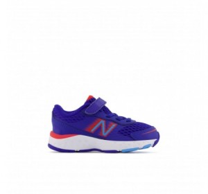 New Balance Infant 680v6 Blue snaeaker w/New Balance Infant 680v6 Bungee Blue laces and Velcro top strap