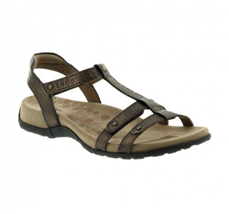 Taos Trophy Sandal Bronze Taos Trophy Sandal Bronze